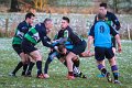Monaghan Legends V Perennials (28)
